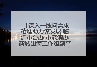 深入一线问需求 精准助力谋发展 临沂市台办 市港澳办商城出海工作组到平邑县走访调研