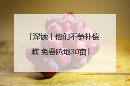 深读丨他们不争补偿款 免费腾地30亩
