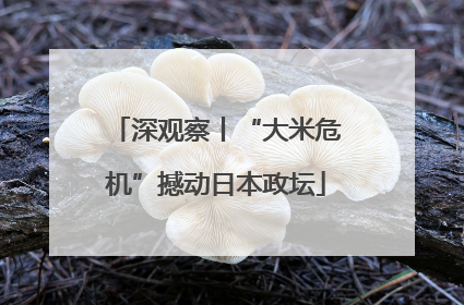 深观察丨“大米危机”撼动日本政坛