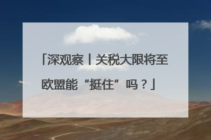 深观察丨关税大限将至欧盟能“挺住”吗？