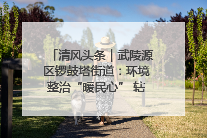 清风头条｜武陵源区锣鼓塔街道：环境整治“暖民心” 辖区面貌“靓”起来