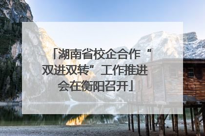 湖南省校企合作“双进双转”工作推进会在衡阳召开