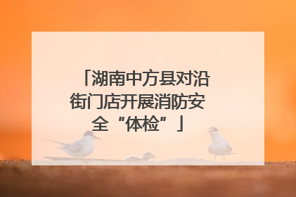 湖南中方县对沿街门店开展消防安全“体检”