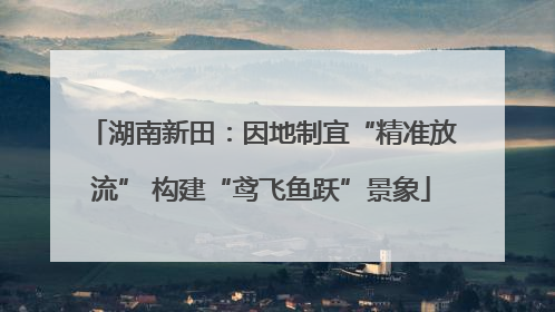 湖南新田：因地制宜“精准放流” 构建“鸢飞鱼跃”景象