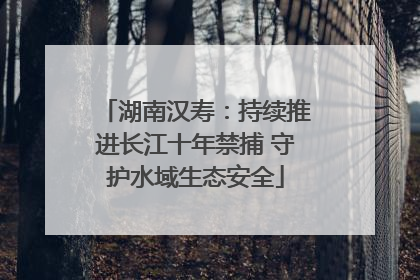 湖南汉寿：持续推进长江十年禁捕 守护水域生态安全