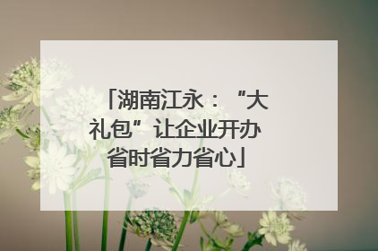 湖南江永：“大礼包”让企业开办省时省力省心