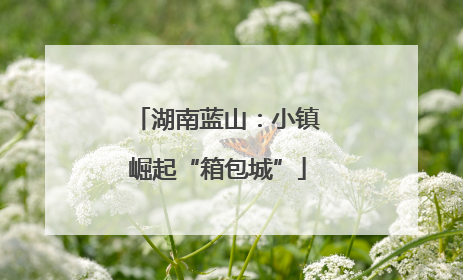 湖南蓝山：小镇崛起“箱包城”