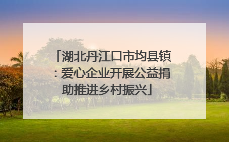 湖北丹江口市均县镇：爱心企业开展公益捐助推进乡村振兴