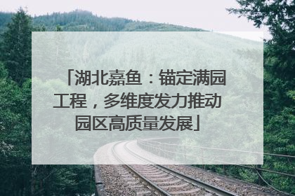 湖北嘉鱼：锚定满园工程，多维度发力推动园区高质量发展