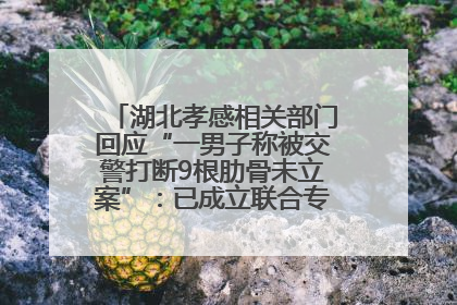 湖北孝感相关部门回应“一男子称被交警打断9根肋骨未立案”：已成立联合专班开展工作