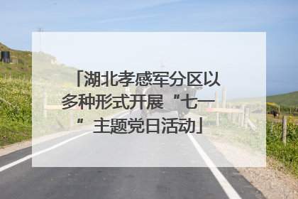 湖北孝感军分区以多种形式开展“七一”主题党日活动