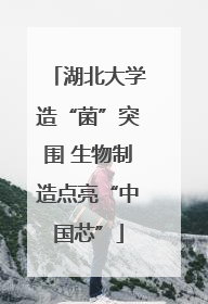 湖北大学造“菌”突围 生物制造点亮“中国芯”