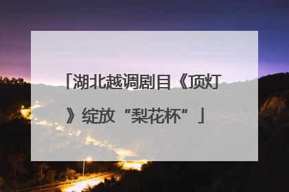 湖北越调剧目《顶灯》绽放“梨花杯”