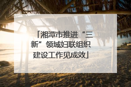 湘潭市推进“三新”领域妇联组织建设工作见成效