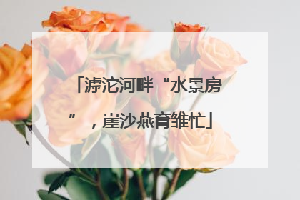 滹沱河畔“水景房”，崖沙燕育雏忙