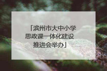 滨州市大中小学思政课一体化建设推进会举办