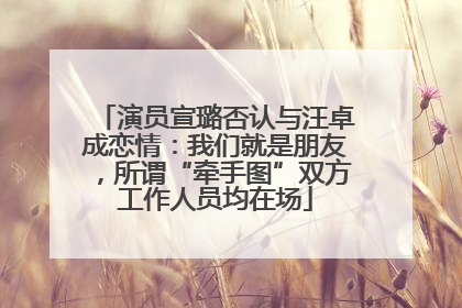 演员宣璐否认与汪卓成恋情：我们就是朋友，所谓“牵手图”双方工作人员均在场