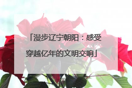 漫步辽宁朝阳：感受穿越亿年的文明交响