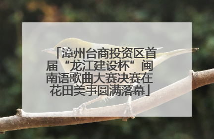漳州台商投资区首届“龙江建设杯”闽南语歌曲大赛决赛在花田美事圆满落幕