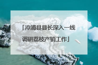 漳浦县县长深入一线调研荔枝产销工作