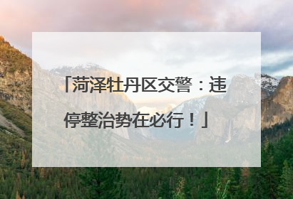 菏泽牡丹区交警：违停整治势在必行！