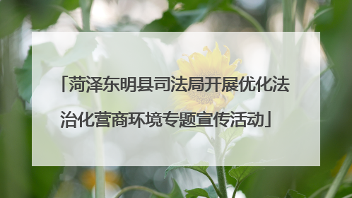 菏泽东明县司法局开展优化法治化营商环境专题宣传活动