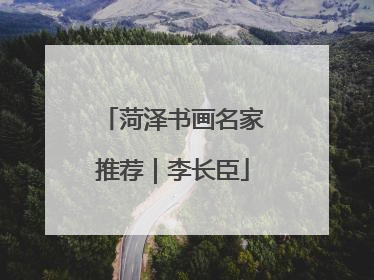 菏泽书画名家推荐｜李长臣