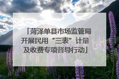 菏泽单县市场监管局开展民用“三表”计量及收费专项督导行动