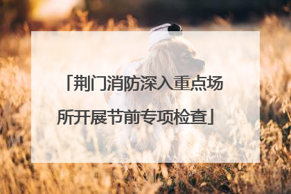 荆门消防深入重点场所开展节前专项检查