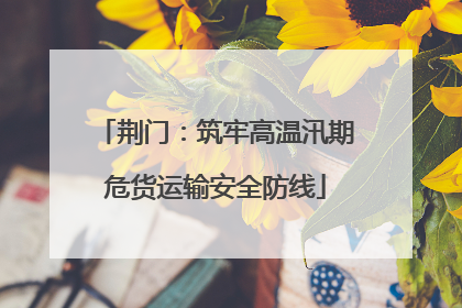 荆门：筑牢高温汛期危货运输安全防线
