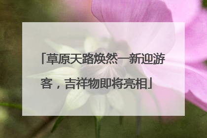 草原天路焕然一新迎游客，吉祥物即将亮相