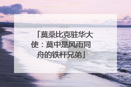 莫桑比克驻华大使：莫中是风雨同舟的铁杆兄弟