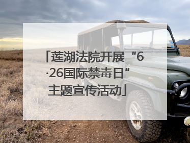 莲湖法院开展“6·26国际禁毒日”主题宣传活动
