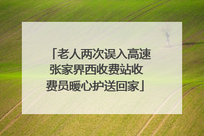 老人两次误入高速 张家界西收费站收费员暖心护送回家