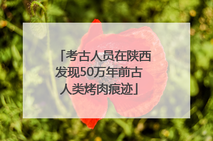 考古人员在陕西发现50万年前古人类烤肉痕迹