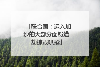 联合国：运入加沙的大部分面粉遭劫掠或哄抢