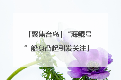 聚焦台岛│“海鲲号”船身凸起引发关注