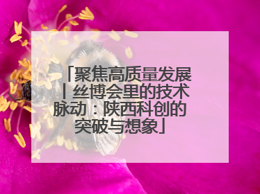 聚焦高质量发展丨丝博会里的技术脉动：陕西科创的突破与想象