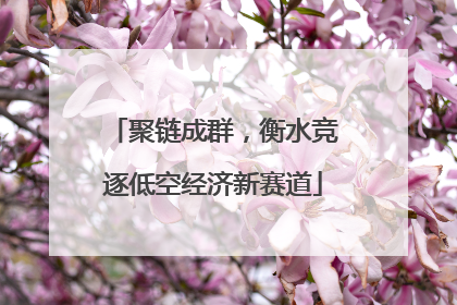 聚链成群，衡水竞逐低空经济新赛道