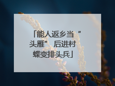 能人返乡当“头雁” 后进村蝶变排头兵