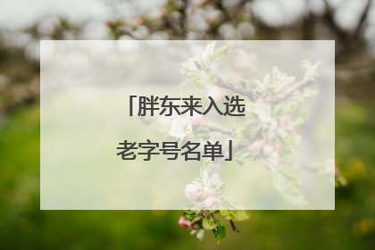 胖东来入选老字号名单