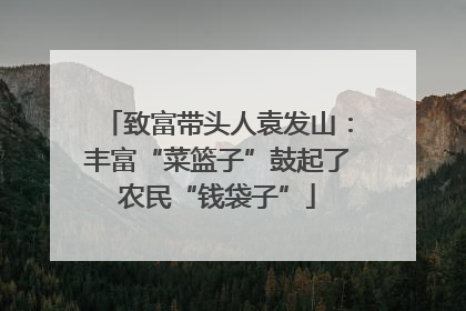 致富带头人袁发山：丰富“菜篮子”鼓起了农民“钱袋子”