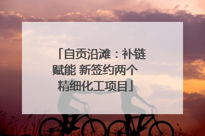 自贡沿滩：补链赋能 新签约两个精细化工项目