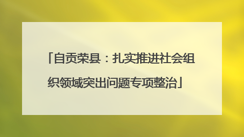 自贡荣县：扎实推进社会组织领域突出问题专项整治