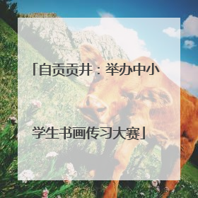 自贡贡井：举办中小学生书画传习大赛