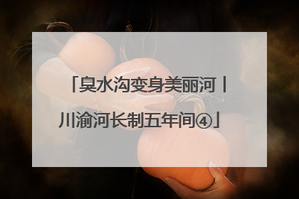 臭水沟变身美丽河丨川渝河长制五年间④