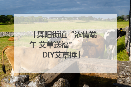 舞阳街道“浓情端午 艾草送福”——DIY艾草捶