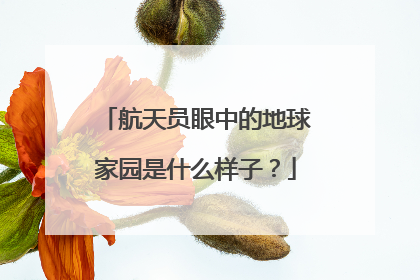 航天员眼中的地球家园是什么样子？