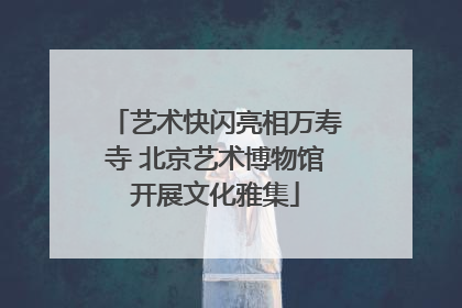 艺术快闪亮相万寿寺 北京艺术博物馆开展文化雅集