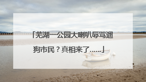 芜湖一公园大喇叭辱骂遛狗市民？真相来了……